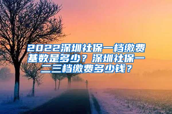 2022深圳社保一档缴费基数是多少？深圳社保一二三档缴费多少钱？