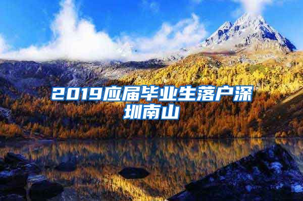 2019应届毕业生落户深圳南山