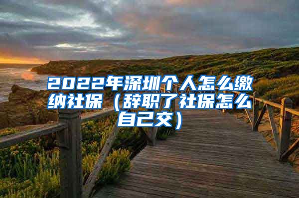 2022年深圳个人怎么缴纳社保（辞职了社保怎么自己交）