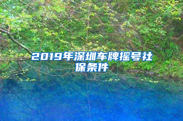 2019年深圳车牌摇号社保条件