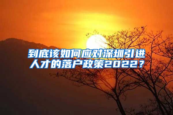 到底该如何应对深圳引进人才的落户政策2022？