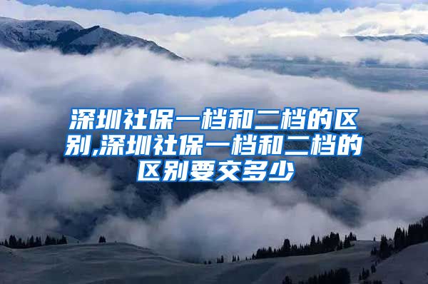 深圳社保一档和二档的区别,深圳社保一档和二档的区别要交多少