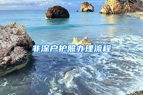 非深户护照办理流程