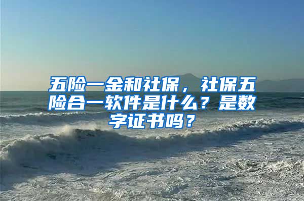 五险一金和社保，社保五险合一软件是什么？是数字证书吗？