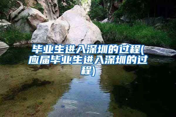 毕业生进入深圳的过程(应届毕业生进入深圳的过程)