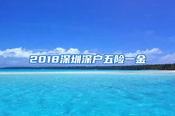 2018深圳深户五险一金