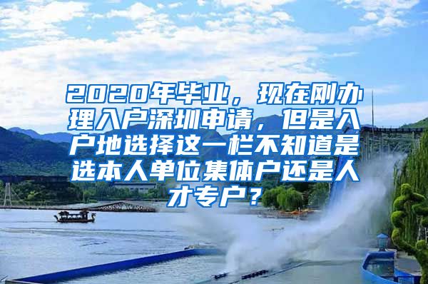 2020年毕业，现在刚办理入户深圳申请，但是入户地选择这一栏不知道是选本人单位集体户还是人才专户？