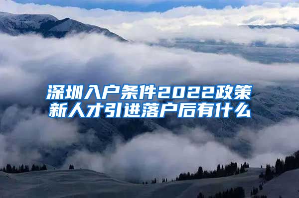 深圳入户条件2022政策新人才引进落户后有什么