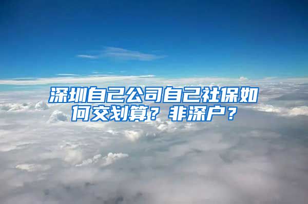 深圳自己公司自己社保如何交划算？非深户？