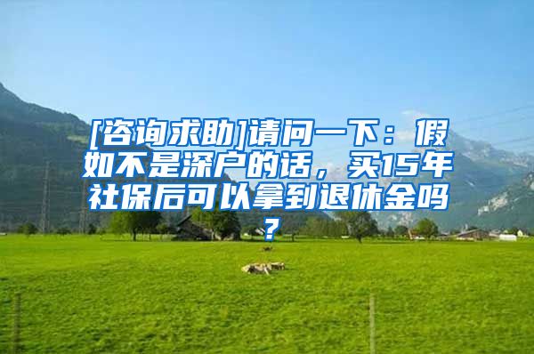 [咨询求助]请问一下：假如不是深户的话，买15年社保后可以拿到退休金吗？