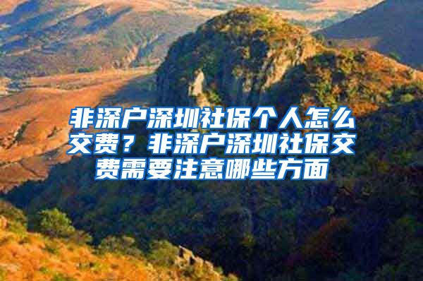 非深户深圳社保个人怎么交费？非深户深圳社保交费需要注意哪些方面