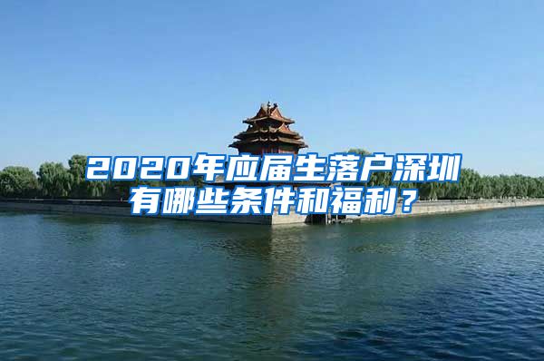 2020年应届生落户深圳有哪些条件和福利？