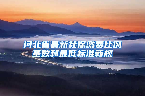 河北省最新社保缴费比例基数和最低标准新规