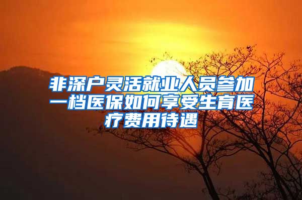 非深户灵活就业人员参加一档医保如何享受生育医疗费用待遇