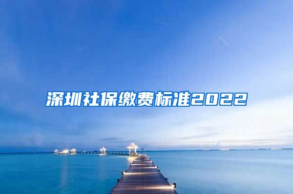 深圳社保缴费标准2022