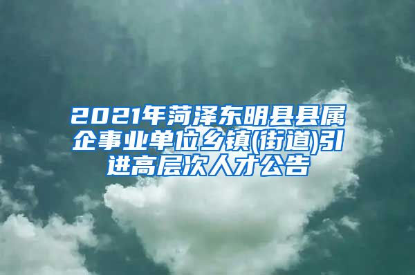 2021年菏泽东明县县属企事业单位乡镇(街道)引进高层次人才公告