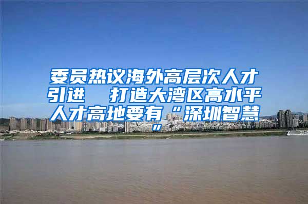 委员热议海外高层次人才引进  打造大湾区高水平人才高地要有“深圳智慧”