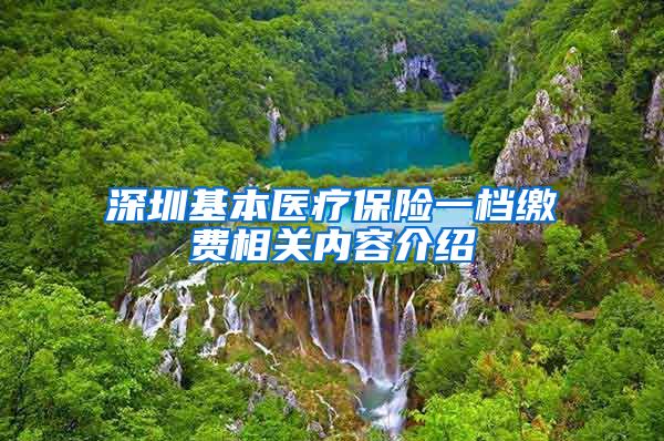 深圳基本医疗保险一档缴费相关内容介绍