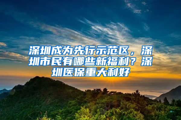 深圳成为先行示范区，深圳市民有哪些新福利？深圳医保重大利好