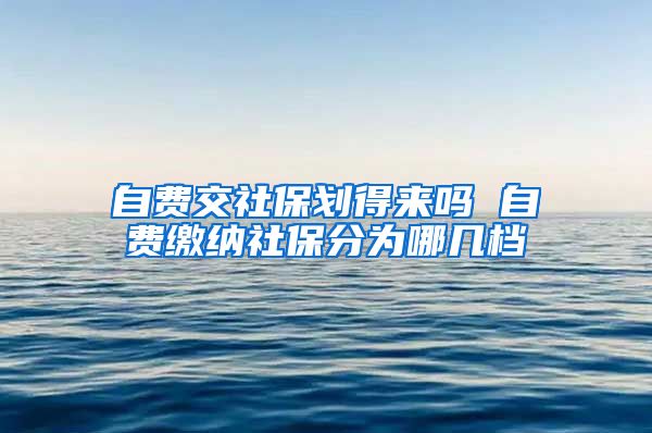 自费交社保划得来吗 自费缴纳社保分为哪几档