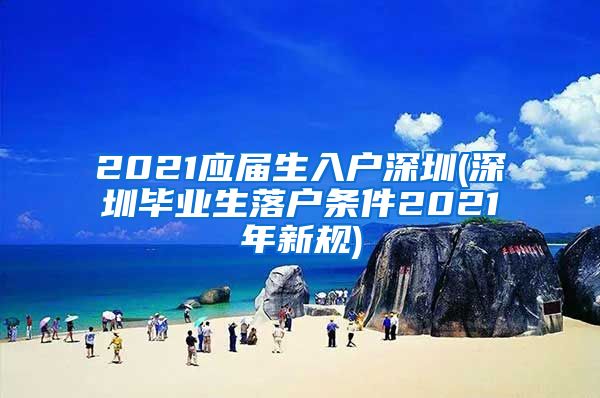 2021应届生入户深圳(深圳毕业生落户条件2021年新规)