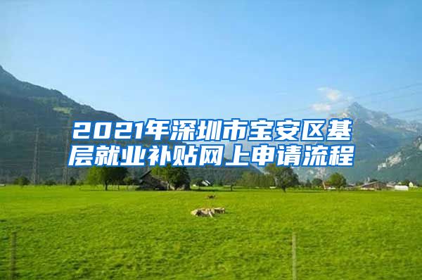 2021年深圳市宝安区基层就业补贴网上申请流程