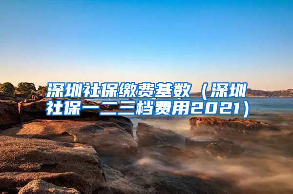 深圳社保缴费基数（深圳社保一二三档费用2021）