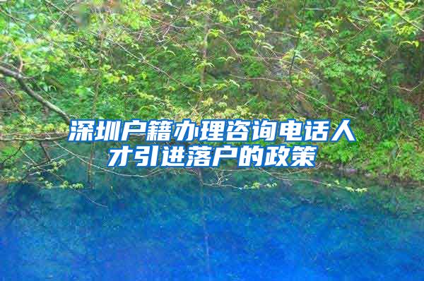 深圳户籍办理咨询电话人才引进落户的政策