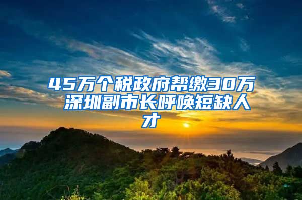 45万个税政府帮缴30万 深圳副市长呼唤短缺人才