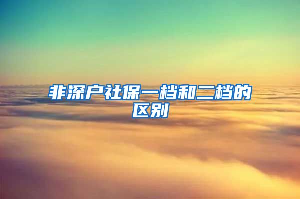 非深户社保一档和二档的区别