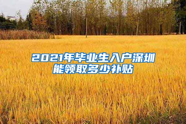 2021年毕业生入户深圳能领取多少补贴