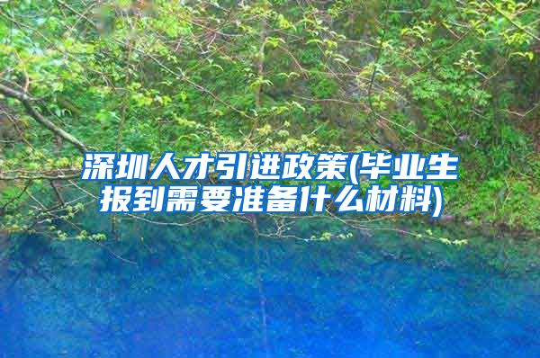 深圳人才引进政策(毕业生报到需要准备什么材料)