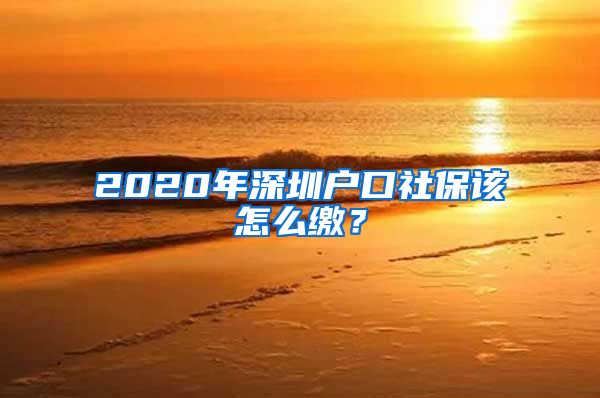 2020年深圳户口社保该怎么缴？