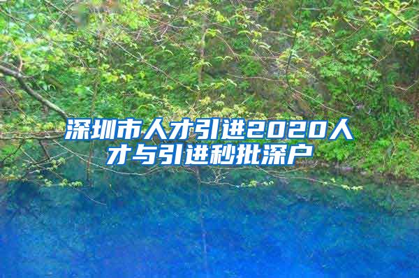 深圳市人才引进2020人才与引进秒批深户