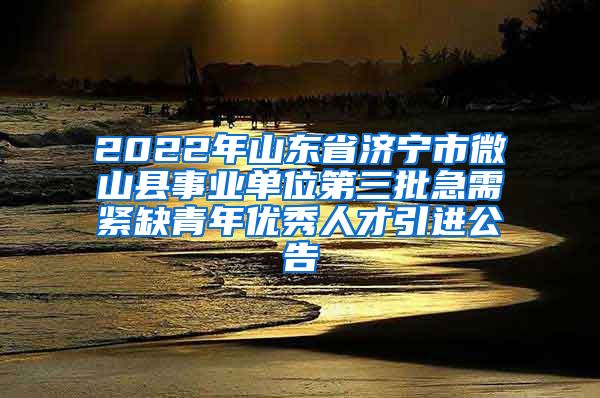 2022年山东省济宁市微山县事业单位第三批急需紧缺青年优秀人才引进公告