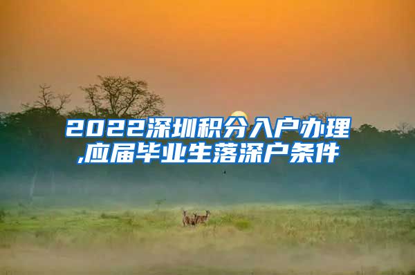 2022深圳积分入户办理,应届毕业生落深户条件