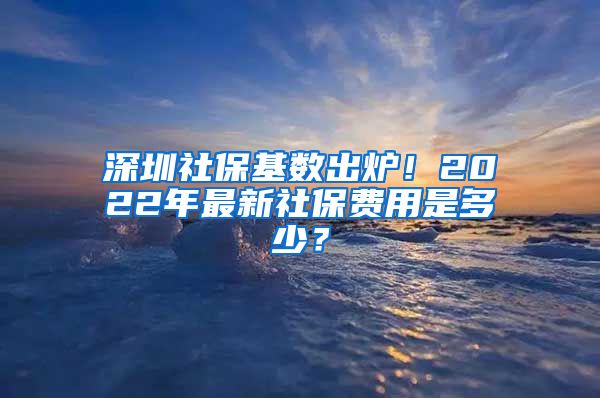 深圳社保基数出炉！2022年最新社保费用是多少？