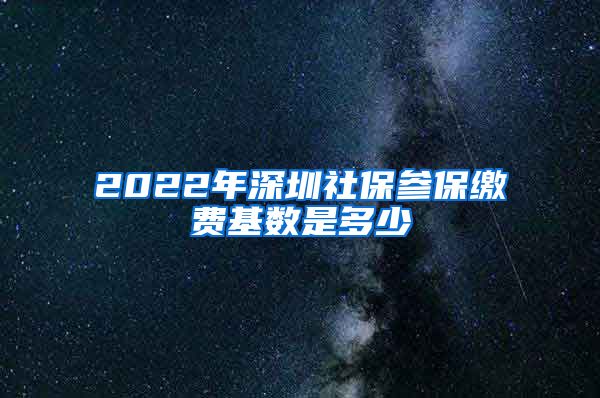 2022年深圳社保参保缴费基数是多少