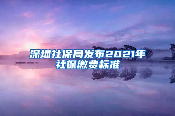 深圳社保局发布2021年社保缴费标准