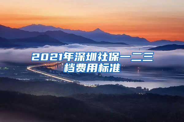 2021年深圳社保一二三档费用标准