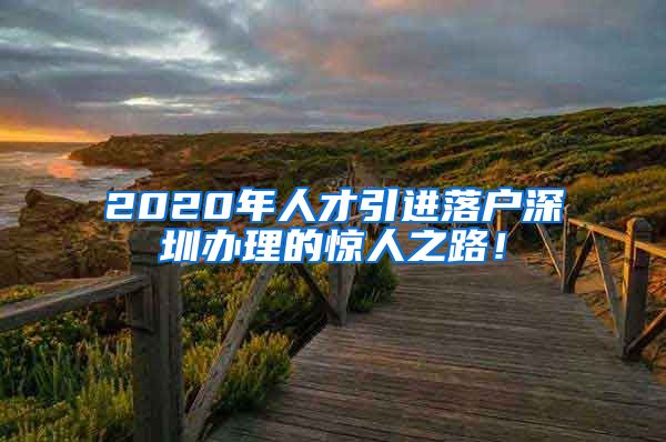 2020年人才引进落户深圳办理的惊人之路！