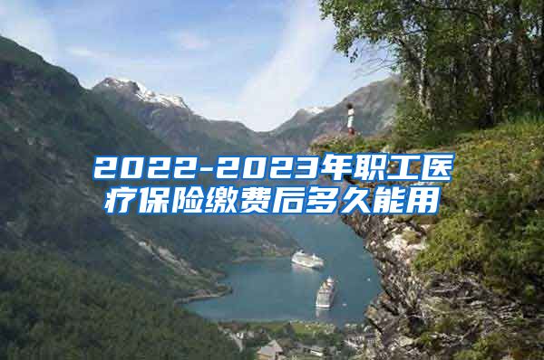 2022-2023年职工医疗保险缴费后多久能用