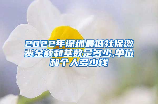 2022年深圳最低社保缴费金额和基数是多少,单位和个人多少钱