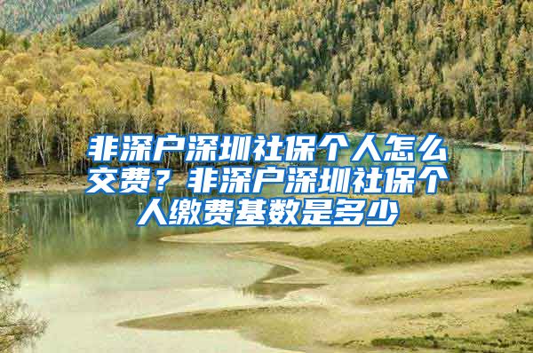 非深户深圳社保个人怎么交费？非深户深圳社保个人缴费基数是多少