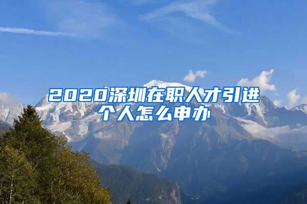 2020深圳在职人才引进个人怎么申办