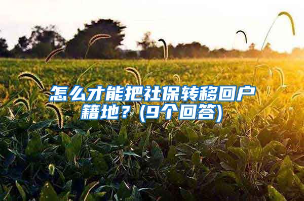 怎么才能把社保转移回户籍地？(9个回答)