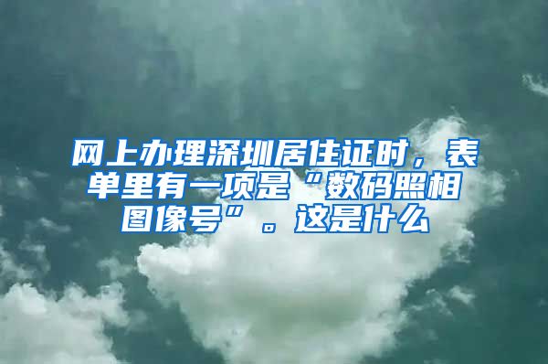 网上办理深圳居住证时，表单里有一项是“数码照相图像号”。这是什么