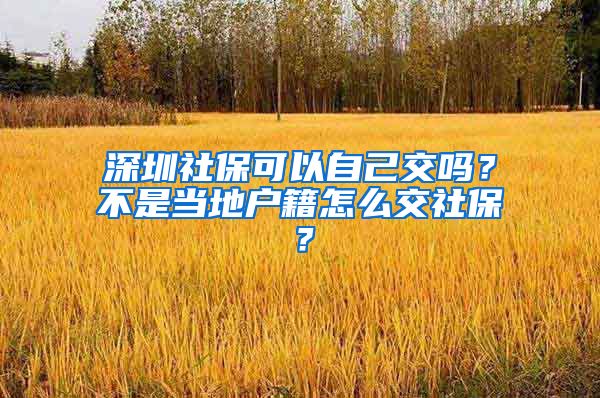 深圳社保可以自己交吗？不是当地户籍怎么交社保？