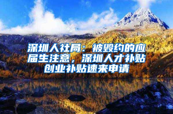 深圳人社局：被毁约的应届生注意，深圳人才补贴创业补贴速来申请