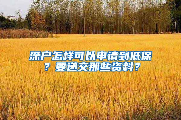 深户怎样可以申请到低保？要递交那些资料？